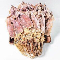해진 울릉도 건오징어 (특)10미(800g), 800g, 1개