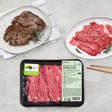 오늘자 부채살 HOT 10개 추천