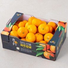 밀감 인기 상품만 모았어요! TOP 10 밀감 인기 상품만 모았어요! TOP 10