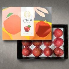 (더조은푸드) 명품 사과 선물세트 5kg, 명품 사과 선물세트 5kg(16과)