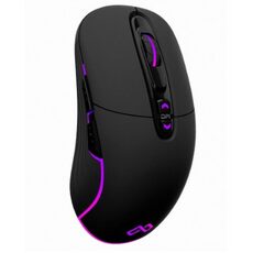 맥스틸마우스 마니아를 위한 특별한 상품 TOP 10