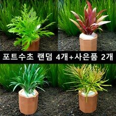 음성수초 트렌드 예측! 최신 BEST 10 음성수초 트렌드 예측! 최신 BEST 10