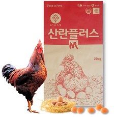 닭모이 인기 상품만 모았어요! TOP 10