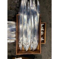 제주 생물갈치 얼리지 않고 잡은것만 판매 냉동아님 1 마리당 200 g 짜리 부터 1 kg 짜리까지, 250 g 짜리 8마리(총2kg), 1개