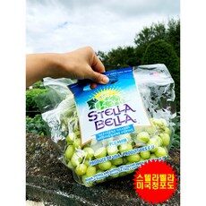 스텔라벨라 트렌드를 알려드립니다! BEST 10 스텔라벨라 트렌드를 알려드립니다! BEST 10