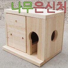 이제는 놓칠 수 없는! 다람쥐집 핫 아이템 10개