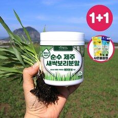 오늘의 BEST 아이템! 새싹보리분말 추천 10개