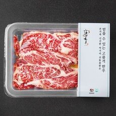 한우1 필수 아이템으로 완벽 준비하세요! TOP 10