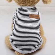 고양이옷 최신 트렌드 쇼핑! 인기 상품 TOP 10