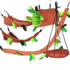 다람쥐집 트렌드 예측! 최신 BEST 10