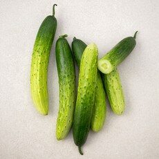 임박특가 쇼핑의 필수템! 인기 상품 10개