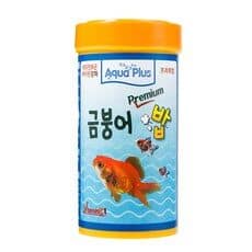 금붕어밥 트렌드 예측! 최신 BEST 10