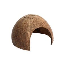 코코넛은신처 필수 아이템으로 완벽 준비하세요! TOP 10