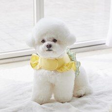 하네스옷 필수 아이템으로 완벽 준비하세요! TOP 10