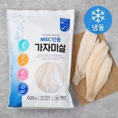 물고기 필수 아이템으로 준비하세요! TOP 10 물고기 필수 아이템으로 준비하세요! TOP 10