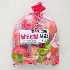 오늘의 MUST-BUY 아이템! 햇사과 추천 10개