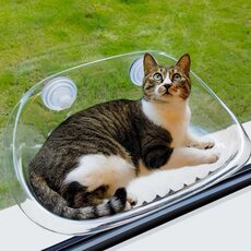 고양이투명해먹 인기 상품만 모았어요! TOP 10