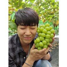 하랑 샤인머스켓 2kg 1등급 백화점 납품용 경산 농장 직송 무배, 1개