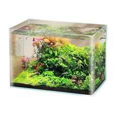 오늘의 핫 아이템! 소형어항 추천 10개