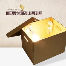 병아리키우기 쇼핑의 필수템! 인기 상품 10개