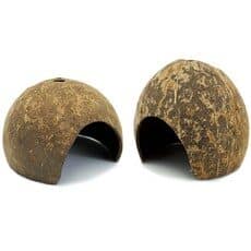 코코넛은신처 트렌드를 알려드립니다! BEST 10