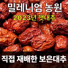 보은대추 쇼핑의 정석! 인기 상품 TOP 10