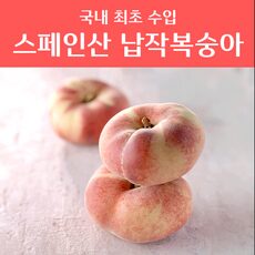 의성복숭아 브랜드 선두주자! BEST 10
