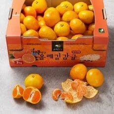 GAP 해풍맞은 올레길 당도선별 11brix 감귤, 3kg(로열과), 1개