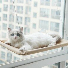 고양이윈도우해먹 트렌드를 한 눈에! BEST 10