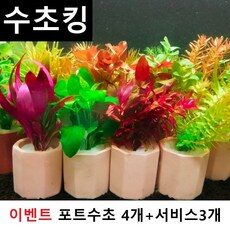 구피수초 구매자들이 가장 사랑하는 아이템 TOP 10