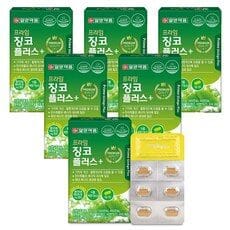 징코플러스 선두 브랜드의 BEST 10